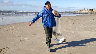 Pescas de tarrafas 060924 manhã Praia Imbé RS netfishing tainhas pesca mullets fishing [upl. by Oivat]