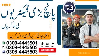 Top 5 Jobs In Lahore  𝐀𝐩𝐩𝐥𝐲 𝐎𝐧 ‪talentconnectingservices ‬ [upl. by Enyt525]