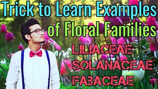 CLASS XI  PRACTICAL TO STUDY AND DESCRIBE THE FLOWERING PLANT  DATURA FAMILY SOLANACEAE [upl. by Aihsitan441]