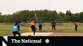 Ontario cricket players lack the space to play [upl. by Jolee981]