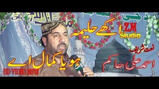 Aakhy Haleema Hoya Kamal Ay  Ahmad Ali Hakim 2018  New Naat 2018 By ZM Studio [upl. by Hansel]