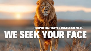 Prophetic Prayer Instrumental  Intercession  Meditation  Shofar  8 hours [upl. by Normandy]