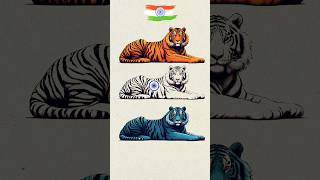 Tiger 🐯 Art 🇮🇳 Indian Flag art 🇮🇳 Independence day special art art shorts short tiger [upl. by Adrahs744]