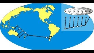 Analisis de endemismos por Parcimonia PAE TNT [upl. by Anglim]