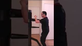 Wan Kam Leung Practical Wing Chun France  Sifu Lee Teck Meng  Wooden Dummy promo [upl. by Ardnola]