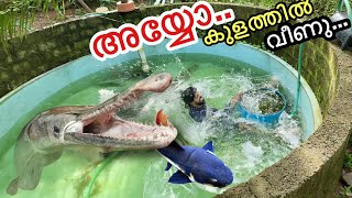 🔥 മുതലേയുള്ള കുളത്തിൽ വീണു  Pond Restoration went Wrond 😥 [upl. by Campney]