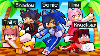 10 Friends on one SONIC BLOCK [upl. by Dhaf]