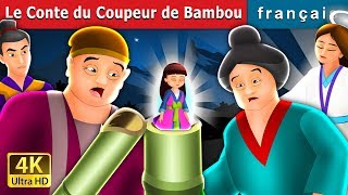 Le Conte du Coupeur de Bambou  Tale of the Bamboo Cutter in French  Contes De Fées Français [upl. by Medeah]