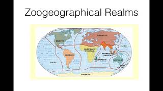 Zoogeographical Realms BSc III Paper III in English [upl. by Henleigh491]