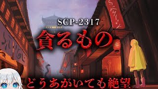 【SCP解説】 全てが終わる日へ向かって…世界終焉…。【SCP2317】 [upl. by Teplitz504]