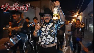 DESDE JEREZ  LA CULEBRA  LOS DIABLOS FUERA  LA CUICHI  BANDA LOS OAXAPENS [upl. by Jaala618]