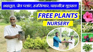 यहाँ है मेडिसिनल प्लांट्स की भरमार  Free Plants Nursery  Know How to Get Free Plants [upl. by Schacker]