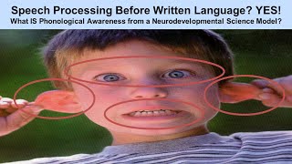 Is Dyslexia A Reading or Language Processing problem Dr Tim Conway at UAB Medical Peds Grand Rounds [upl. by Amr251]