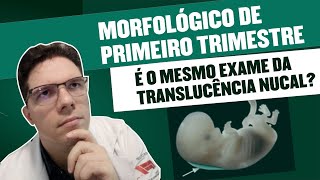 ULTRASSOM MORFOLOGICO DE PRIMEIRO TRIMESTRE É O MESMO EXAME DA TRANSLUCÊNCIA NUCAL [upl. by Enilaf436]