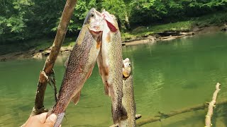 Pesca de truchas con lombrices de tierra [upl. by Yasnil]