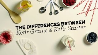 Kefir Grains vs Powdered Kefir Starter  Whats the difference [upl. by Bat982]