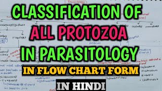 Parasitology  Classification of Protozoa in Microbiology  Classification of Parasites Flow Chart [upl. by Janith]