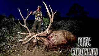 2024 Giant Archery ELK HUNT In Colorado  BEAST BROADHEAD [upl. by Sirac]