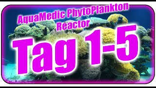 AquaMedic PhytoPlankton Reactor Tag 15 [upl. by Cyrano]