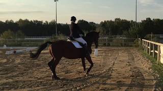 Ripresa Dressage E400 [upl. by Noxaj]