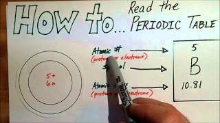 Learn the Basics of the Periodic Table [upl. by Lauralee]