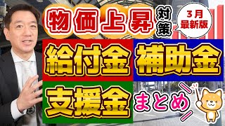 【3月度 物価高騰 給付金・補助金・支援金まとめ】最大500万円等 都道府県別 個人事業主・小規模向け 電気・燃料・LPガス補助 医療・介護・運送事業者等  厚労省支援策〈24年3月時点〉 [upl. by Zosema142]