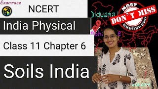 Soil Resources of India  Geography Class 10 [upl. by Pacifica427]