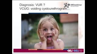 Urowebinar Vesicoureteral reflux to treat or not to treat [upl. by Couture599]