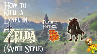 How to Kill a Lynel in BotWWith Style [upl. by Goodhen]