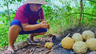 Cooking eggs in clay and grilling meat on top the hill [upl. by Garlinda]