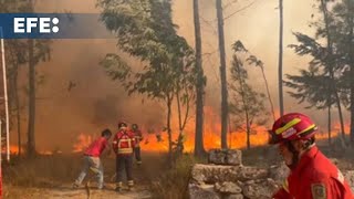 Mueren 3 bomberos en el combate contra incendios en Portugal que ya suman 7 fallecidos [upl. by Nedac]