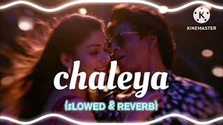 ᴄʜᴀʟᴇʏᴀ sʟᴏᴡᴇᴅ amp ʀᴇᴠᴇʀʙ sᴏɴɢ🎧❤tseries chaleya slowedandreverb arijitsingh [upl. by Auqinu404]