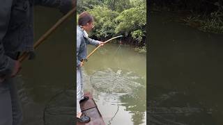 GreatMore Koi carp fishing by netWait for the resultnetfishing fishingwithmasud fishinglife [upl. by Sema318]