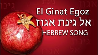 El Ginat Egoz  אל גינת אגוז  hebrew song traditional  Song of Songs  Hohelied [upl. by Eneluqcaj]