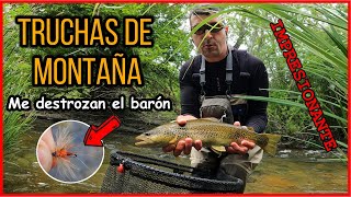 Pesca de truchas en río de montaña me destrozan el barón quotrojoquot flyfishing catchandrelease trout [upl. by Akcirehs]