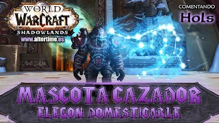 🐉 Elegon domesticable  Mascota Cazador  Shadowlands  World of Warcraft [upl. by Fadiman]