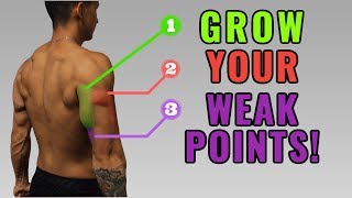 The Best ScienceBased Triceps Exercises for Each Head Work Your Weak Points [upl. by December790]