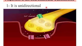 Properties of Neuromuscular Transmission [upl. by Klute]