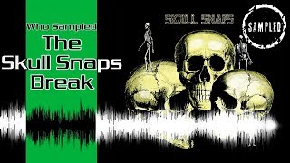 Who Sampled The Skull Snaps Break [upl. by Eiger]