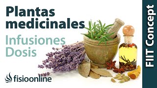 Tratamiento con plantas medicinales  Cómo hacer la infusión dosis y duración de un tratamiento [upl. by Nimajaneb]