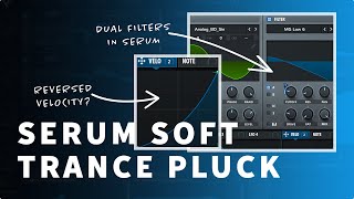 Serum Soft Trance Pluck using Filters amp Velocity  Trance Tutorials [upl. by Ytsanyd]