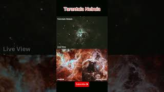 Tarantula Nebula  Nebula viral shorts facts astronomy physics universe [upl. by Amena852]