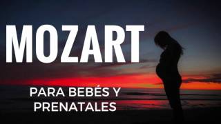 Mozart para Bebés y Prenatales vientre materno  Efecto Mozart  Música Clásica para Dormir Bebés [upl. by Inami790]