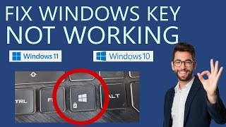 How to Fix Number Keys Not Working In Windows 10 PC or Laptop [upl. by Hanley872]