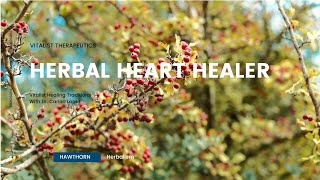 Vitalist Therapeutics Hawthorn heart healer and more [upl. by Neiman]