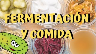 😮😮¿QUÉ ES LA FERMENTACIÓN 😮😮TIPOS DE FERMENTACIÓN Y EJEMPLOS  CHEF MODE MEDIA  GASTRONOMÍA [upl. by Oynotna116]