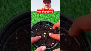 सेफ लगाने का बहुत बढ़िया तरीका 👌kisan house safe vijayofficial80 viralvideo [upl. by Katleen]