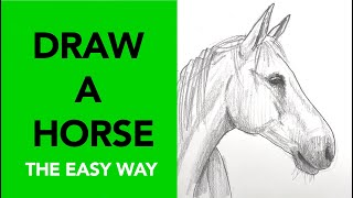 Easy way to draw a horse [upl. by Hindu]