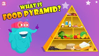 FOOD PYRAMID  How Different Foods Affect Your Body  The Dr Binocs Show  Peekaboo Kidz [upl. by Nohtanoj]