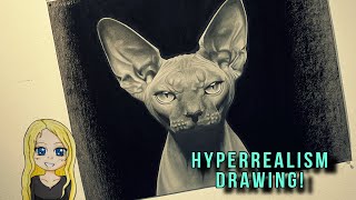 HYPERREALISM DRAWING  Charcoal Sphynx Cat [upl. by Pani]